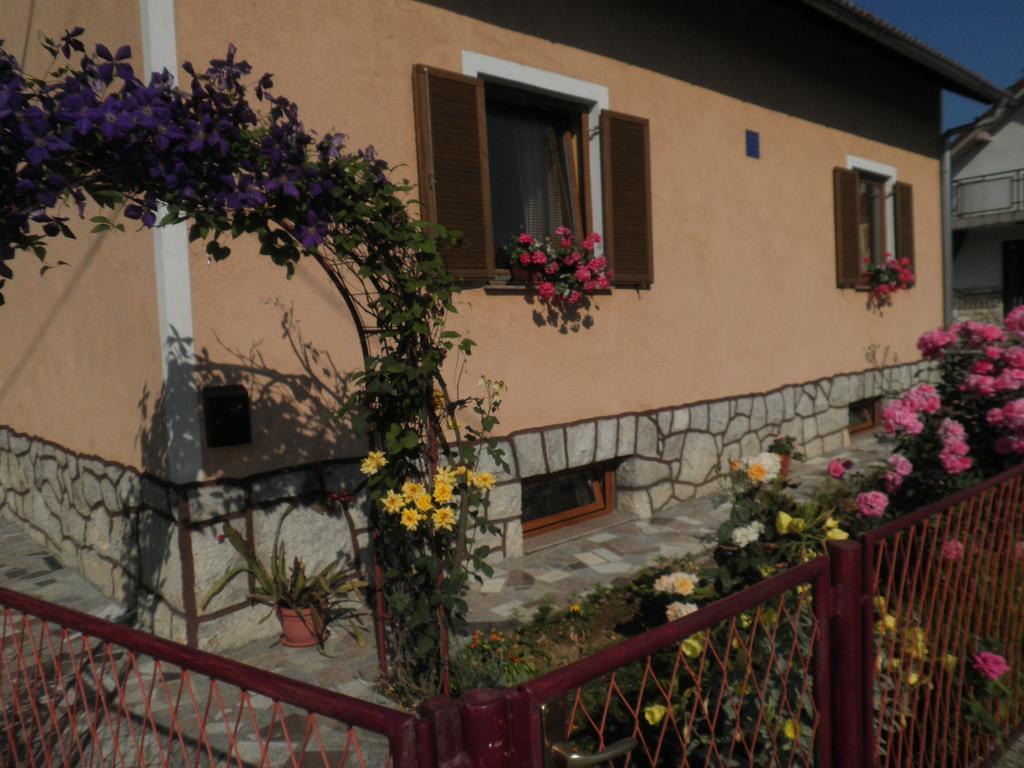Apartment Tomasevic Slunj Rum bild